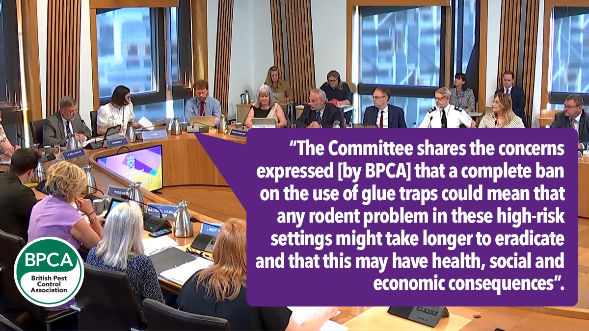 ScottishglueboardbanneedsmoreinformationbeforegoingaheadsaysCommittee